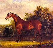 John F Herring Negotiator, the Bay Horse in a Landscape oil